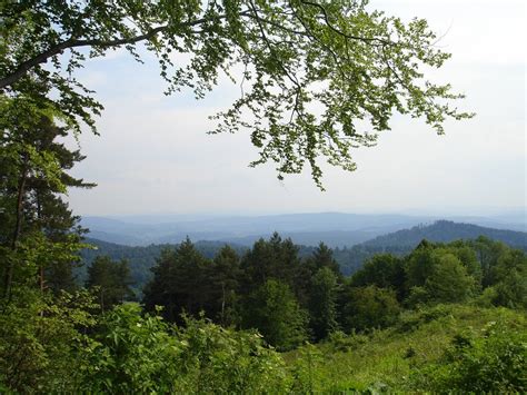 Filesalt Mountains In The Eastern Carpathians Wikimedia Commons