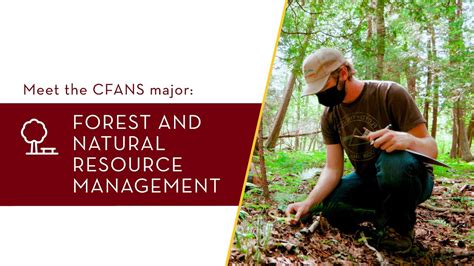 Study Forest And Natural Resource Management Youtube