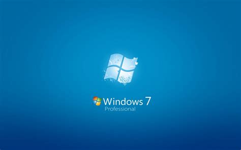 Windows 7 Professional обои для рабочего стола картинки фото 1440x900