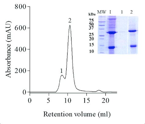 Gel Filtration Chromatography Of The Cry23aacry37aa Proteins From B