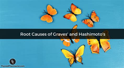 Hashimotos And Graves Root Causes Dr Izabella Wentz