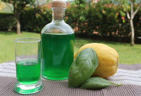 Liquore al basilico | LunaMagazine