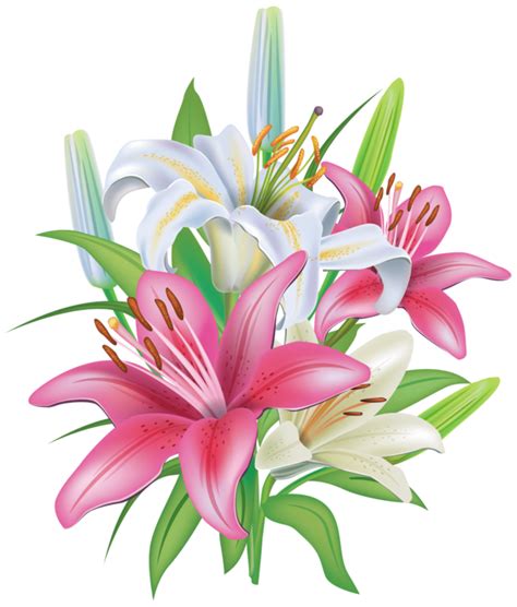 Easter Lilies Png Png Image Collection