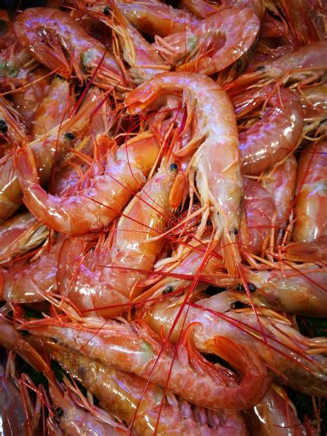 Shrimp In Fish Market Stock Image Image Of Sale Vendor 82402025