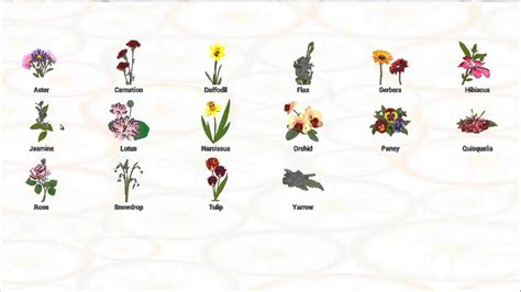 It is useful for enthusiasts as well as professionals who need to know about flowers. Unique Flowers Name In Tamil with Images | Top Collection ...