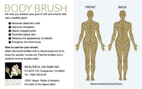 new picture12 bmp 744×468 pixels body brushing dry brushing skin dry brushing