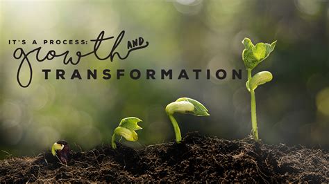 How Growth and Transformation Happen | Pastor's Blog