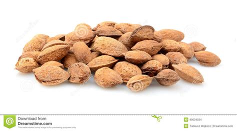 Group Of Almonds With Shell Isolated On White Stock Photo Image Of