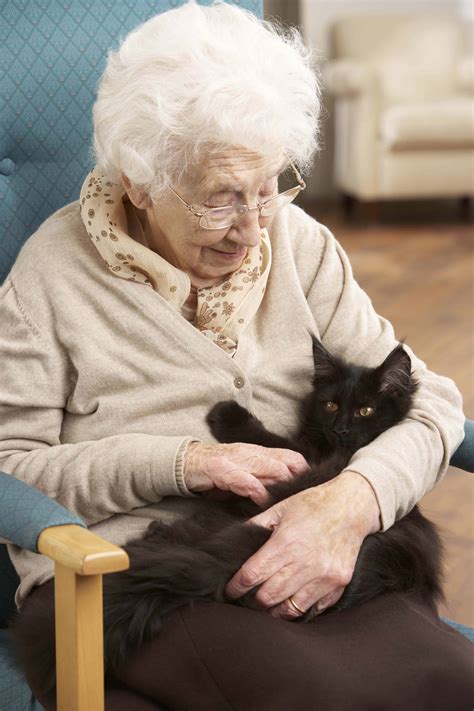 Blog the Change: Helping Seniors Care for Pets - Cats Herd You