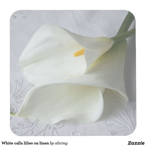 White Calla Lilies On Linen Square Paper Coaster Square Paper Paper