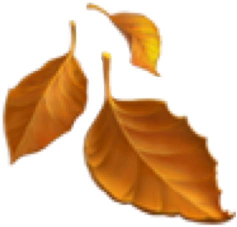 Emoji Leaf Fall Blatt Blätter Freetoedit Fallen Leaf Emoji Free
