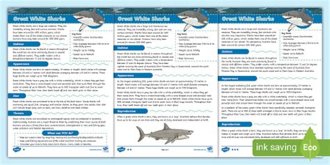 Great White Shark Worksheet Comprehension Twinkl