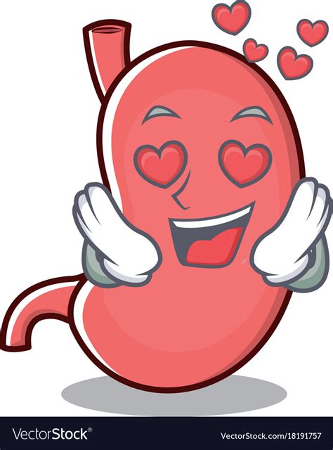 In Love Stomach Character Cartoon Mascot Vector Image