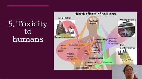 There are various ways of controlling pests and diseases. PPT 5.6 Pest Control Methods 2020 - Google Slides - YouTube