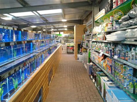 Rutland Maidenhead Aquatics Fish Store Review Tropical Fish Site