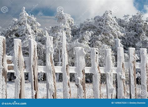 Wooden Fence In Frost On The Winter Forest Background Stock Photo