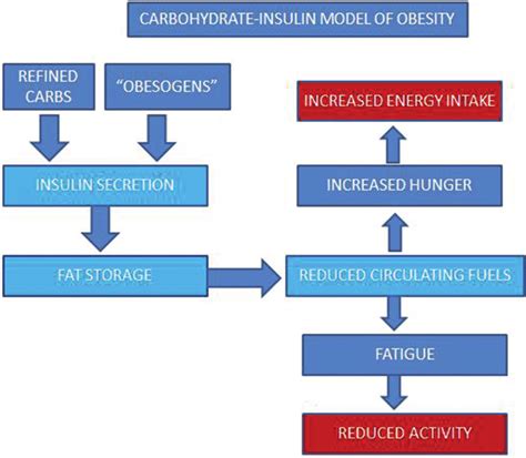 The Carbohydrate Insulin Model Of Obesity Download Scientific Diagram
