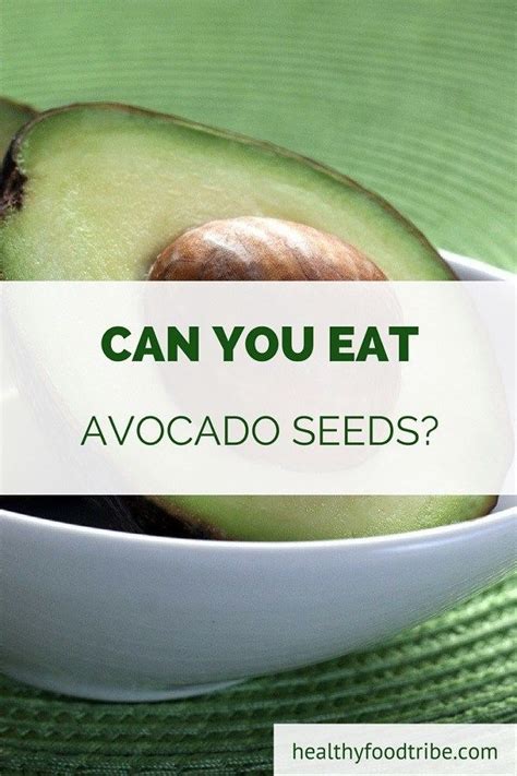Can You Eat An Avocado Seed Benefits And Uses Avocado Seed