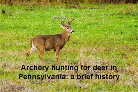 Archery Season For Deer Opens Saturday Do You Know The History Of The