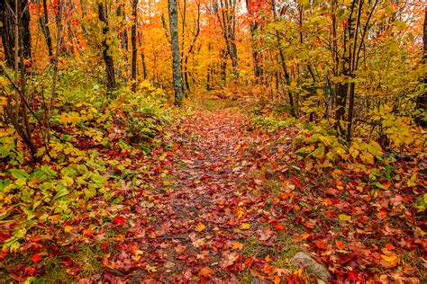 Fall Hiking Trail Landscapetif Cynthia Fleury