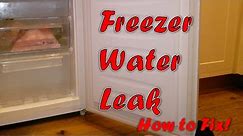 Freezer Water Leak - Complete Solution!!