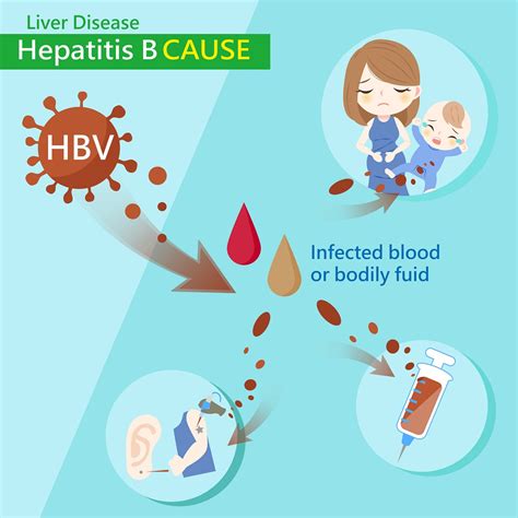 Hepatitis B And Pregnancy What You Need To Know The Pulse