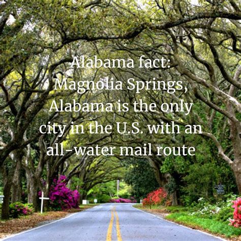 An Alabama Fun Fact Of The Day Sweet Home Alabama Alabama Fun Facts