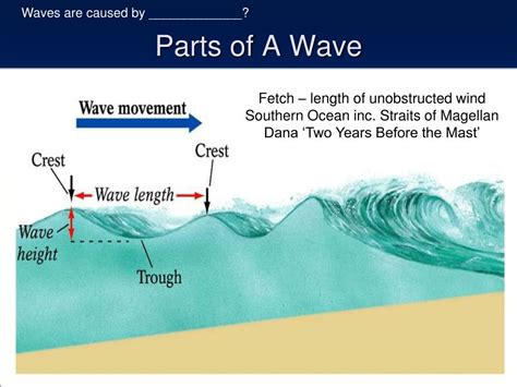 Different Parts Of A Wave