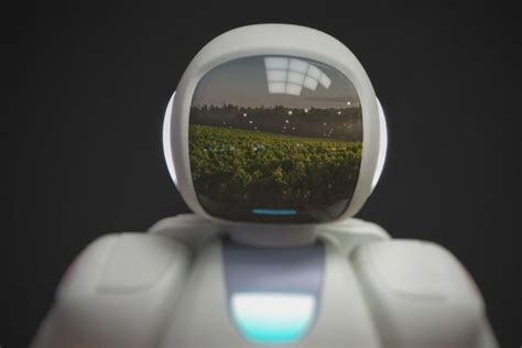 How Robots Are Lending A Helping Hand In The Wine Industry