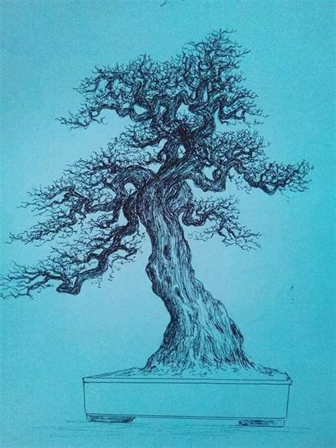 Sketsa Bonsai Formal Blogger Bonsai Bengkulu