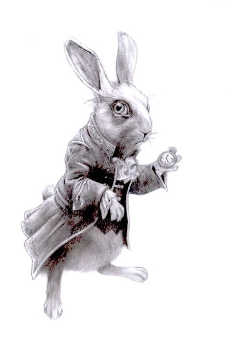 Illustraties Alice In Wonderland White Rabbit Alice In Wonde