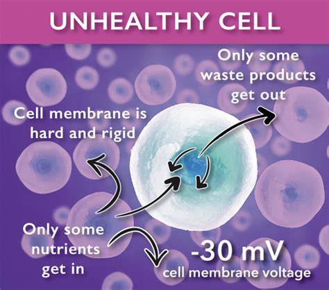 Unhealthy Cell Vs Healthy Cell Acute Chronic And Arthritis Pain