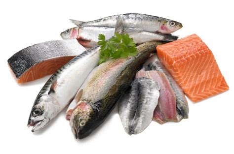 41 transparent png illustrations and cipart matching e c segar. 13 alimentos antiinflamatorios naturales que no conocías