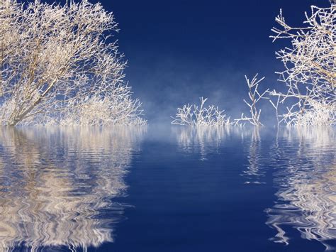 Fotos Gratis Paisaje árbol Agua Naturaleza Rama Nieve Frío