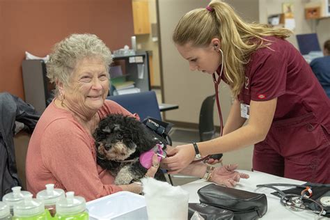 Give us a call when you arrive and someone whether your pet is healthy or sick, arroyo animal clinic offers comprehensive veterinary services to accommodate your pet's needs. WSU students, people and pets all helped by wellness ...
