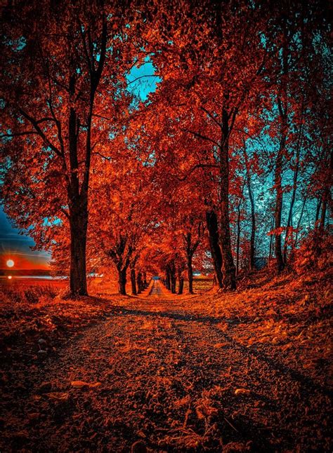 Get acquainted with the picsart background editor. Pin on Bubu83619@gmail.com