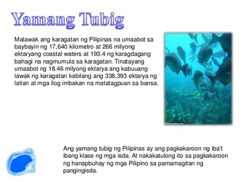 Mga Yamang Tubig Ng Pilipinas