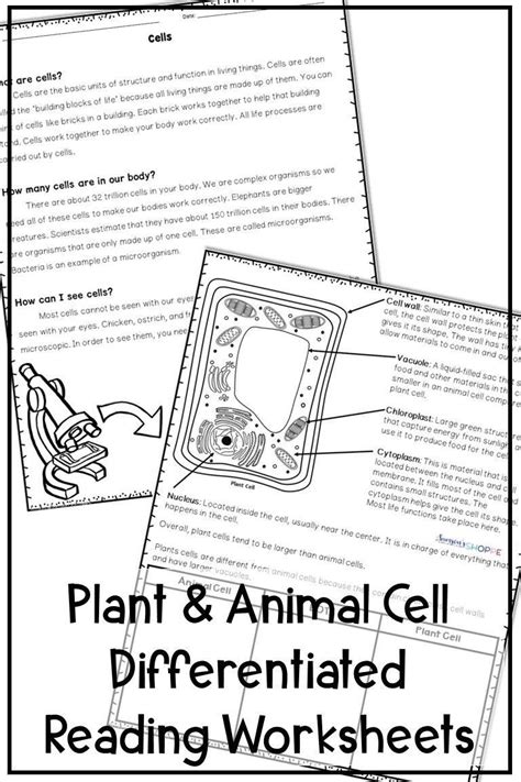 These three ideas form the cell theory. Cell theory Worksheet 7th Grade Plant and Animal Cells ...