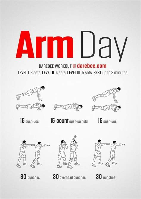 Pin By Yahaira Fernández On Exercise Arm Day Workout