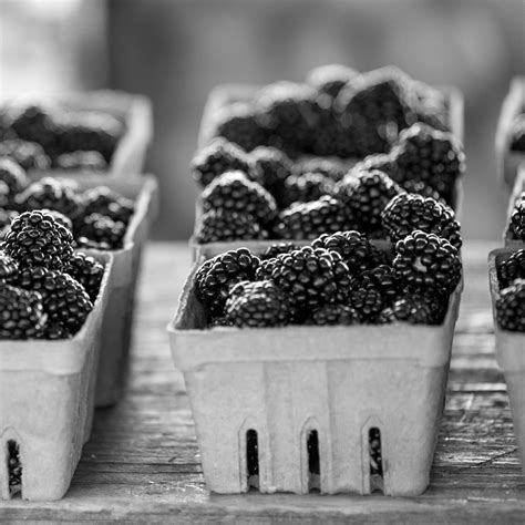 Kumpulan gambar tentang gambar makanan hitam putih, klik untuk melihat koleksi gambar lain di kibrispdr.org. Gambar : tangan, hitam dan putih, makanan, menghasilkan ...