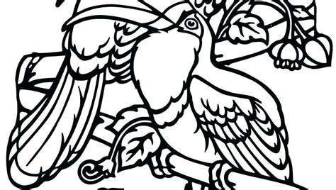Birds toucan toco toucan toucan coloring pages colorpages7 com. Toucan Coloring Page at GetColorings.com | Free printable ...