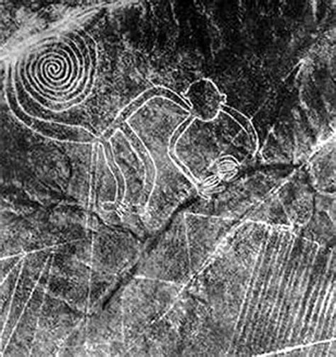 Picture Information Nazca Lines In Peru