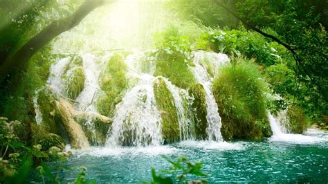 Wallpaper Forest Waterfall Nature River Jungle Stream