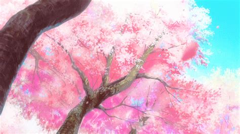 Search, discover and share your favorite anime sakura tree gifs. Pin on Inside my head everything is pink