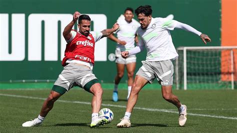 atividades táticas e coletivo palmeiras segue preparação para duelo contra o américa