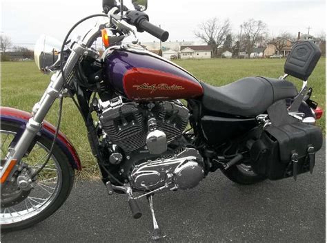 2020 popular 1 trends in automobiles & motorcycles with 2006 harley sportster 1200 and 1. 2006 Harley-Davidson Sportster 1200 Custom for sale on ...