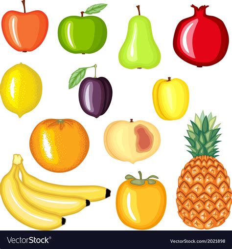 Collection Fruit Royalty Free Vector Image Vectorstock 23D