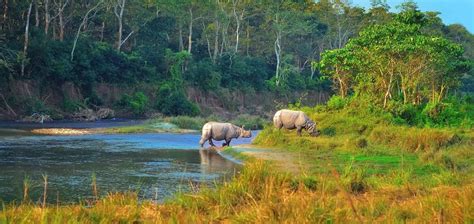 Chitwan National Park Sundowner Wildlife Holidays