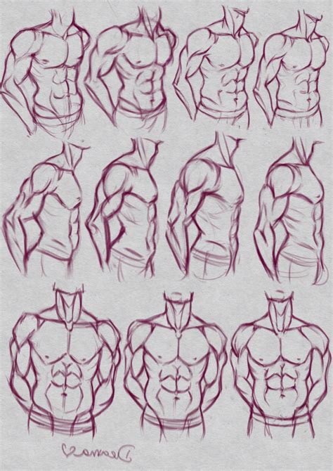 Male Muscular Torso Practice By Dreamadove93 On Deviantart