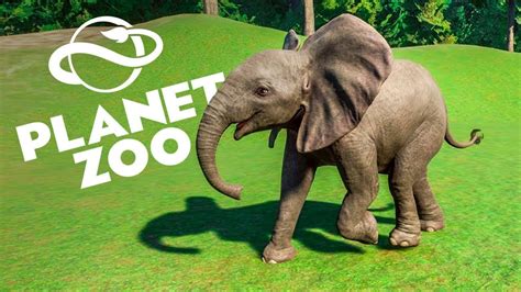Autumn And I Make Babies In Planet Zoo Youtube